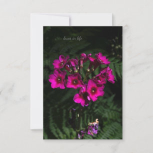 Tarjeta Pequeña Flor rosa oscura con helechos