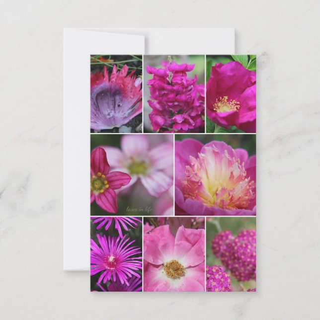 Tarjeta Pequeña Flor rosa rosa rosa rosa rosa (Anverso)