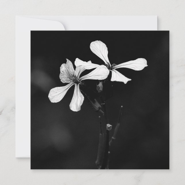 Tarjeta Pequeña floral blanca y negra mínima (Anverso)