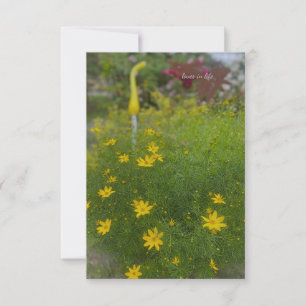Tarjeta Pequeña Flores amarillas y decoración de jardín