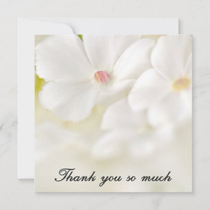 Tarjeta Pequeña Flores Blancas Gracias