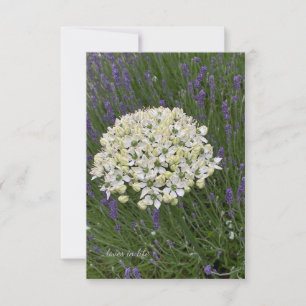 Tarjeta Pequeña Flores de alio blanco y de lavanda