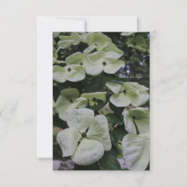 Tarjeta Pequeña Flores de dogwood