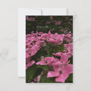 Tarjeta Pequeña Flores De Dogwood Rosadas Agradables