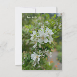 Tarjeta Pequeña Flores de jardín blanco