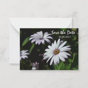 Tarjeta Pequeña Flores de jardín blanco adorables Guardar la tarje