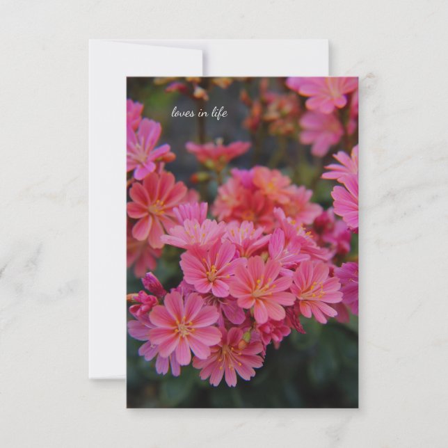 Tarjeta Pequeña Flores de jardín rosado de bonito (Anverso)