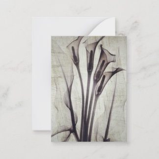 Tarjeta Pequeña Flores de rayos X antiguas de bonito