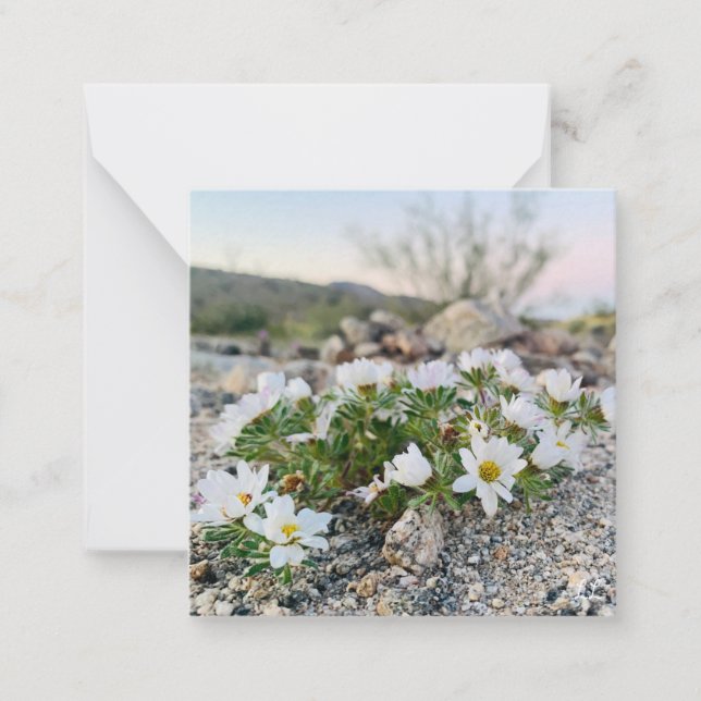 Tarjeta Pequeña Flores del desierto (Anverso)