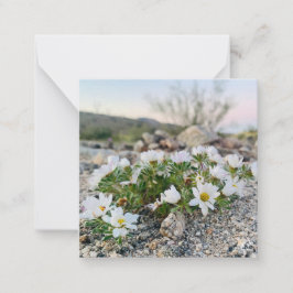 Tarjeta Pequeña Flores del desierto