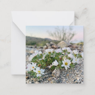 Tarjeta Pequeña Flores del desierto