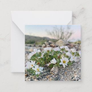 Tarjeta Pequeña Flores del desierto
