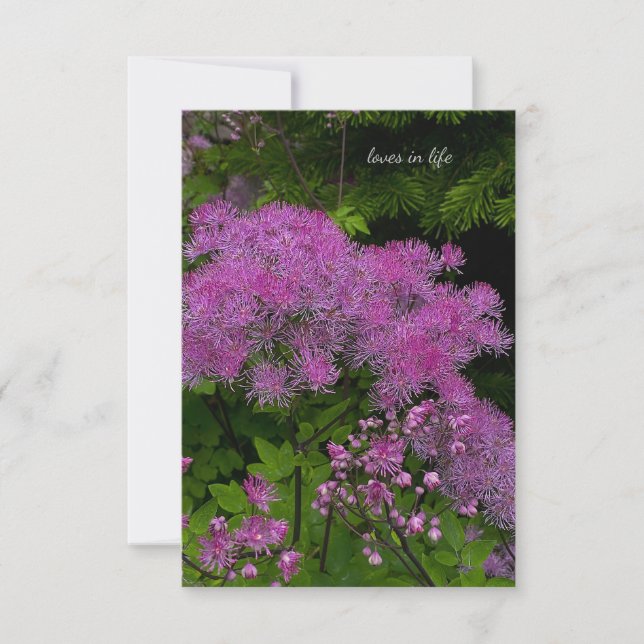 Tarjeta Pequeña Flores moradas de bonito (Anverso)