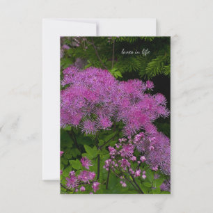 Tarjeta Pequeña Flores moradas de bonito