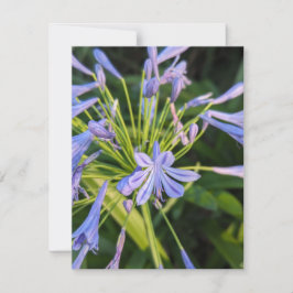 Tarjeta Pequeña Flores silvestres