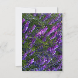 Tarjeta Pequeña Flores violetas de vetch