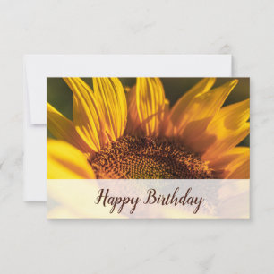 Tarjeta Pequeña Florista Girasol Foto Feliz Cumpleaños