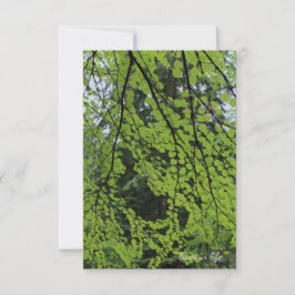 Tarjeta Pequeña Foliage del árbol de primavera