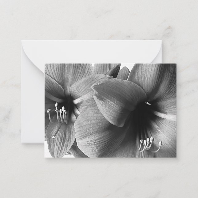 Tarjeta Pequeña Foto de dos flores de amarilis (Anverso)