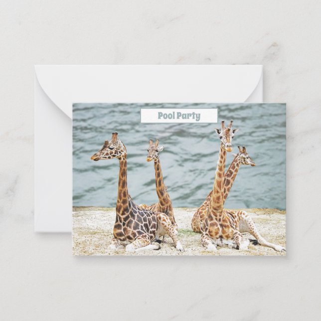 Tarjeta Pequeña Foto divertida de Giraffe Water - Fiesta de cuatro (Anverso)