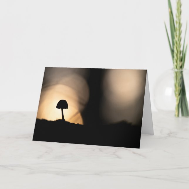 Tarjeta Pequeña foto natural de hongos (Anverso)