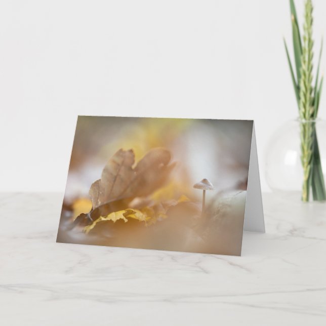 Tarjeta Pequeña foto natural de hongos (Anverso)
