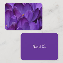 Tarjeta Pequeña Fotografía de Crocus de Primavera