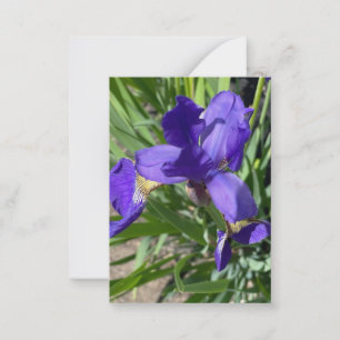 Tarjeta Pequeña Fotografía de flor de iris púrpura