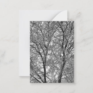 Tarjeta Pequeña Fotografía de ramas de árbol con nieve de invierno