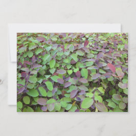 Tarjeta Pequeña Fotografía de Ramas Hojas Rojas y Verdes