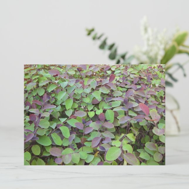 Tarjeta Pequeña Fotografía de Ramas Hojas Rojas y Verdes (Anverso de pie)