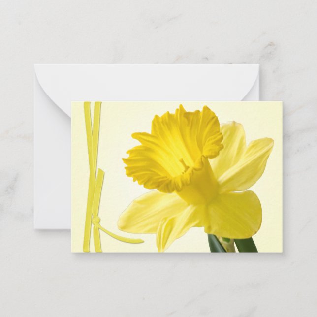 Tarjeta Pequeña Fotografía floral en el cierre de Daffodil Primave (Anverso)