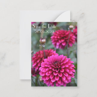 Tarjeta Pequeña Fotografía floral rosa de Dahlia Salven la fecha