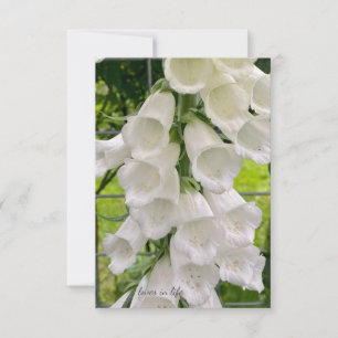 Tarjeta Pequeña Foxglove