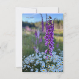 Tarjeta Pequeña Foxglove & Daisies