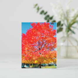 Tarjeta Pequeña Fuego De La Vida, Luminoso, Colorido, Árbol En Caí