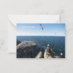 Tarjeta Pequeña Gannets del norte