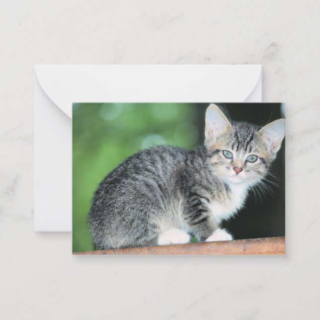 Tarjeta Pequeña Gatito (Anverso)
