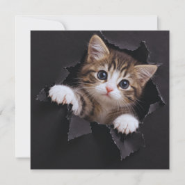 Tarjeta Pequeña Gatito Adorable