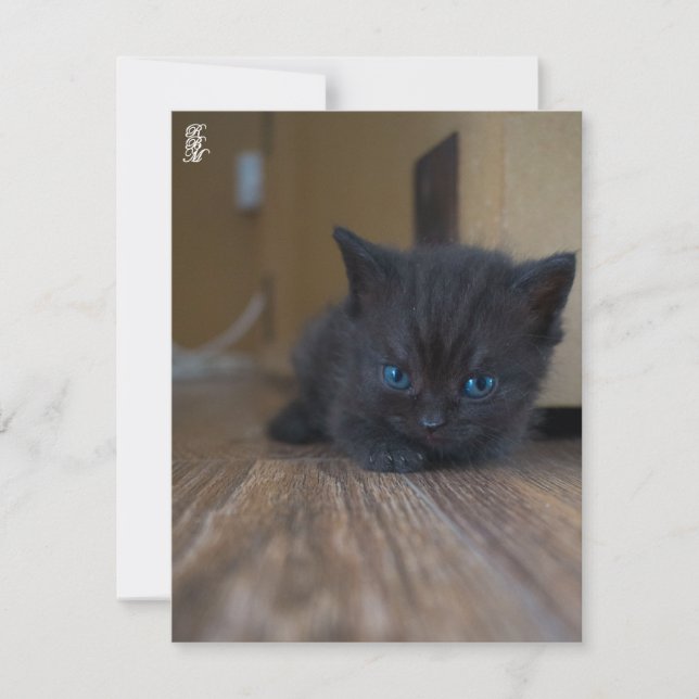 Tarjeta Pequeña Gatito negro (Anverso)