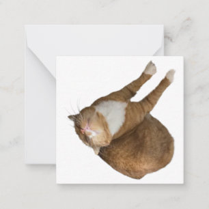 Tarjeta Pequeña Gato de Sol Boca Abajo