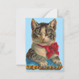 Tarjeta Pequeña Gato de tabby de Victoria