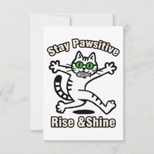 Tarjeta Pequeña Gato Mantén Positividad