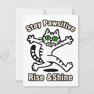 Tarjeta Pequeña Gato Mantén Positividad