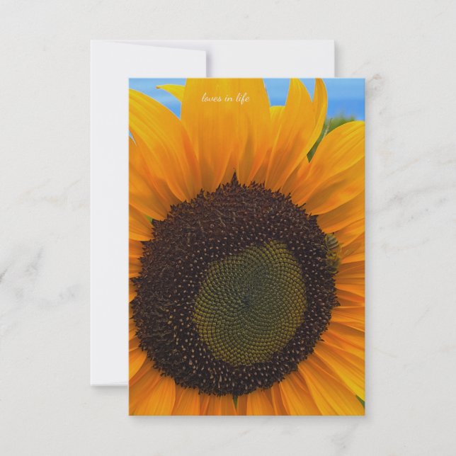 Tarjeta Pequeña Girasol, abeja y cielo (Anverso)