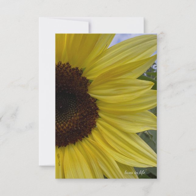 Tarjeta Pequeña Girasol amarillo claro (Anverso)