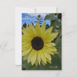 Tarjeta Pequeña Girasol amarillo claro y cielo azul