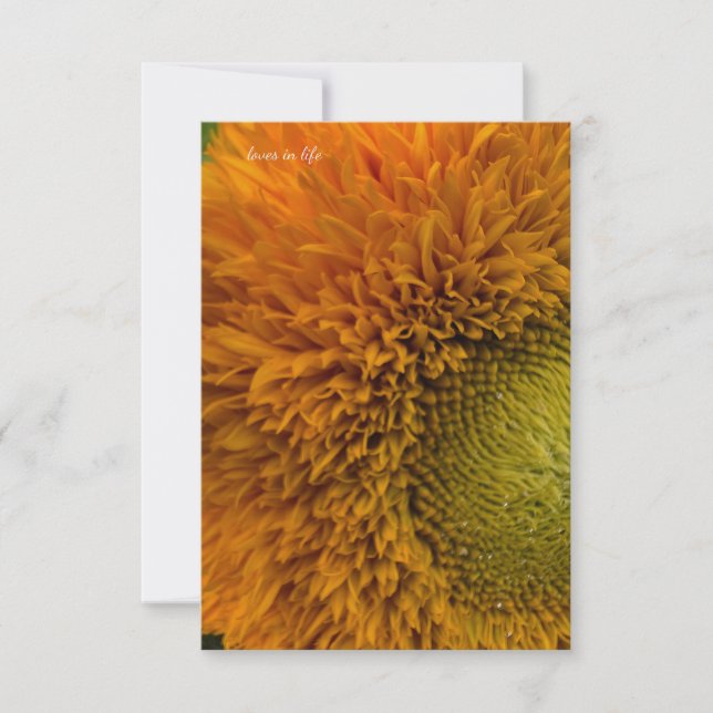 Tarjeta Pequeña Girasol Cubierto Con Centro Verde (Anverso)