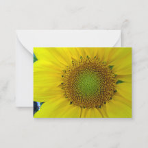 Girasol y semillas, espiral, proporción áurea