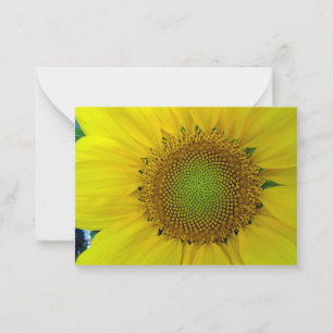 Tarjeta Pequeña Girasol y semillas, espiral, proporción áurea